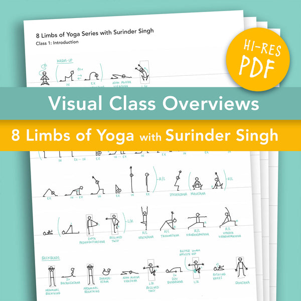 Visual Class Overviews – '8 Limbs of Yoga' course by Surinder Singh - Eva-Lotta's Shop