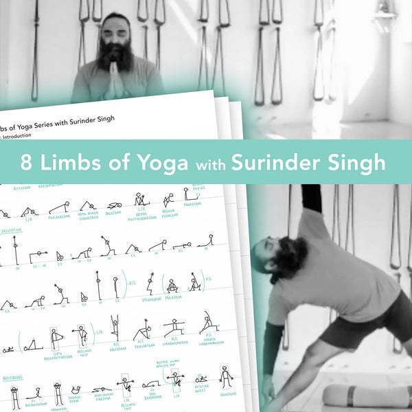 Visual Class Overviews – '8 Limbs of Yoga' course by Surinder Singh - Eva-Lotta's Shop