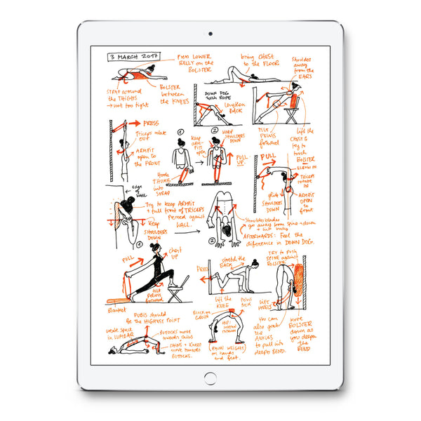 Notes from Yoga Teacher Training – PDF version (English) - Eva-Lotta's Shop